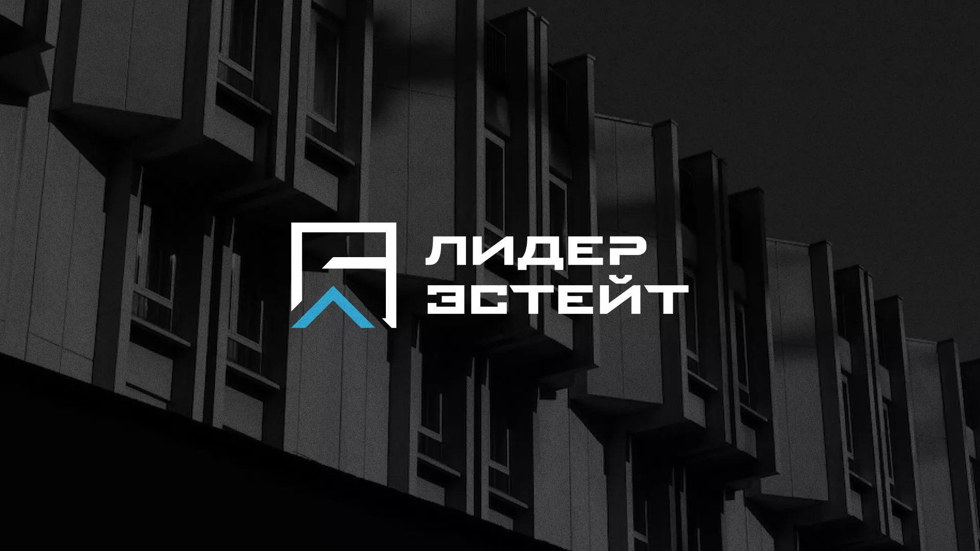 Разработка логотипа агентства недвижимости «Лидер Эстейт» в Воткинске